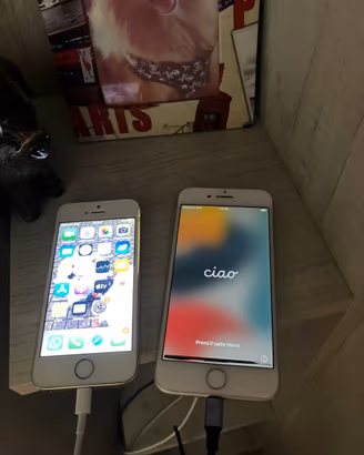 Iphone 7  iphone SE gold