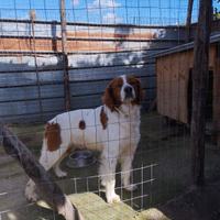 Breton per M.O.N.T.E