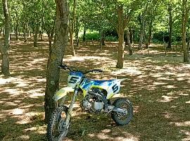 pit bike rxf 150