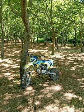 pit bike rxf 150