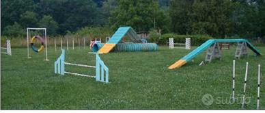 Terreno posizione strategica addestramento cani