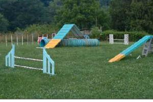 Terreno posizione strategica addestramento cani