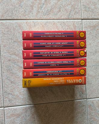 Lotto VHS Dragon Ball Z + Ranma ½ – Vintage