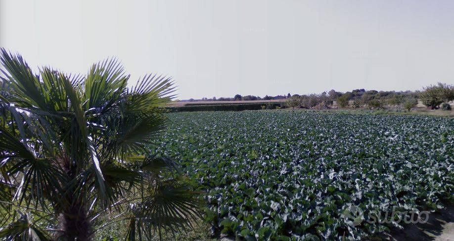 Rif.702/b| terreno agricolo cavallino treporti - Vista 3