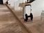 Immagine 16