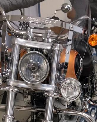 Faretti + Calotta faro Harley Davidson