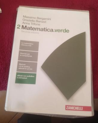 Matematica Verde 2