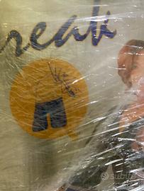 Seggiolino e parabrezza bici bambino