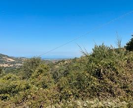 Ogliastro Cilento - terreno agricolo di 12.000 mq