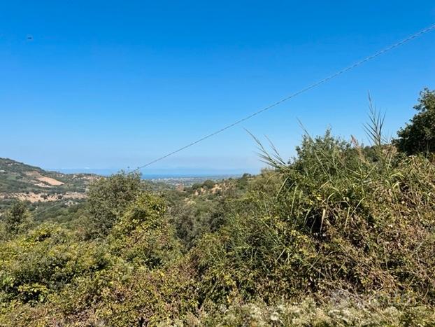 Ogliastro Cilento - terreno agricolo di 12.000 mq