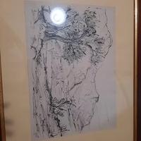 Litografia di Castrovinci