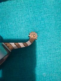 speroni monta americana 