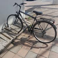 Bicicletta frejus