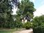 Immagine 22