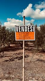 Terreno rustico