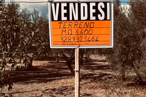 Terreno rustico
