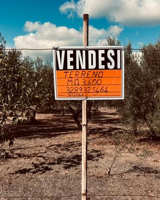 Terreno rustico