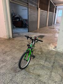 Bici mountain bike bambino