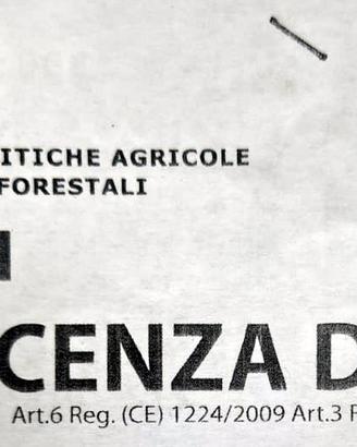 Licenza di pesca