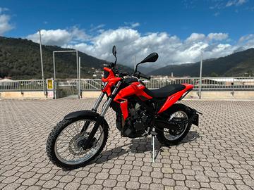 Beta Alp 4.0