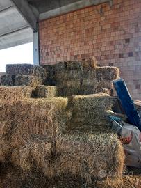bellete di fieno di buona qualita 