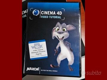 Video tutorial Advanced Character Rigging