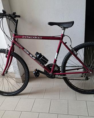 Bici Mtb + Olandesina donna