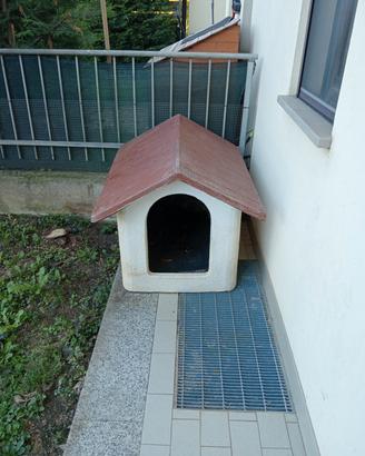 cuccia per cani 