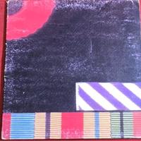 Vijile pink floyd the final cut