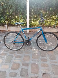 Mountain bike