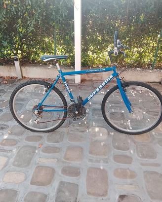 Mountain bike