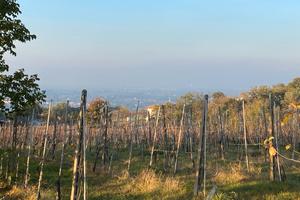Terreno edificabile panoramico