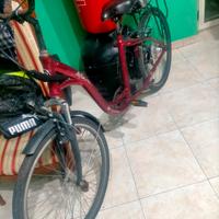bicicletta elettrica ma pedalante normale