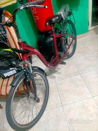 bicicletta elettrica ma pedalante normale