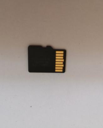 SD memory card 16mb sd adapter micro sd