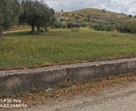 Terreno con annesso fabbricato rurale/deposito