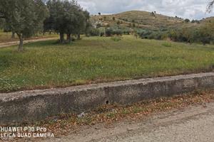 Terreno con annesso fabbricato rurale/deposito