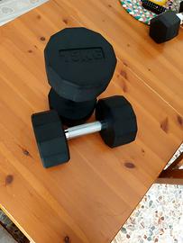 Manubri da 15 kg