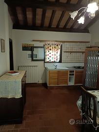 Libero bilocale molto grazioso