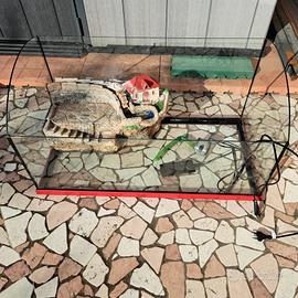 Tartarughiera 