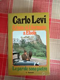 Cristo si è fermato a Eboli