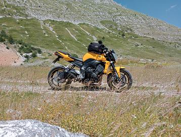 Yamaha FZ1 - 2006