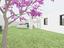 Immagine 29