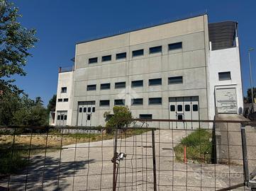 CAPANNONE A GIFFONI SEI CASALI