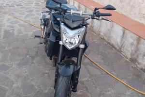 fz1 Yamaha 