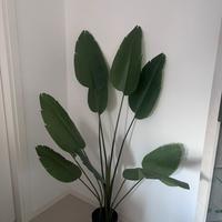 Pianta finta IKEA FEJKA