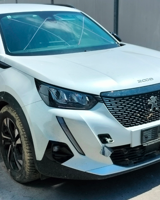 Ricambi Peugeot 2008 2022