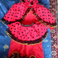 Vestito da coccinella per carnevale