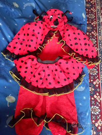 Vestito da coccinella per carnevale