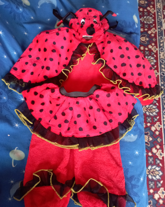 Vestito da coccinella per carnevale